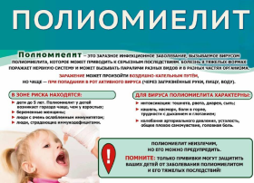 Что необходимо знать родителям о полиомиелите? Что необходимо знать родителям о полиомиелите?.