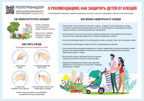 Как защититься от клещей? Как защититься от клещей?.