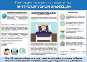 Памятка по профилактике энтеровирусной инфекции Памятка по профилактике энтеровирусной инфекции.