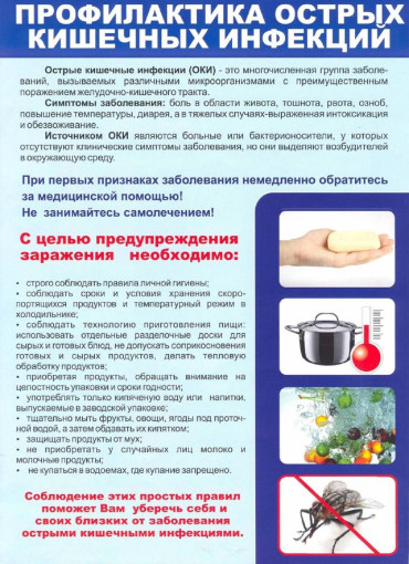 О профилактике острых кишечных инфекций О профилактике острых кишечных инфекций.