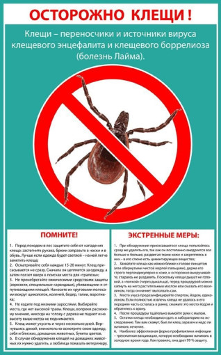 Осторожно, клещи! Осторожно, клещи!.