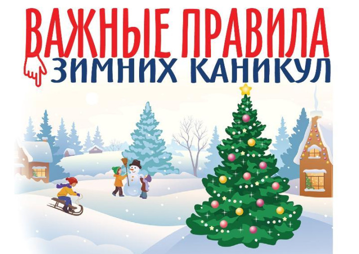 Памятка для родителей об обеспечении безопасности в период новогодних каникул Памятка для родителей об обеспечении безопасности в период новогодних каникул.