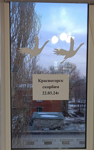 акции в память о жертвах теракта Крокус Сити Холл акции в память о жертвах теракта Крокус Сити Холл.